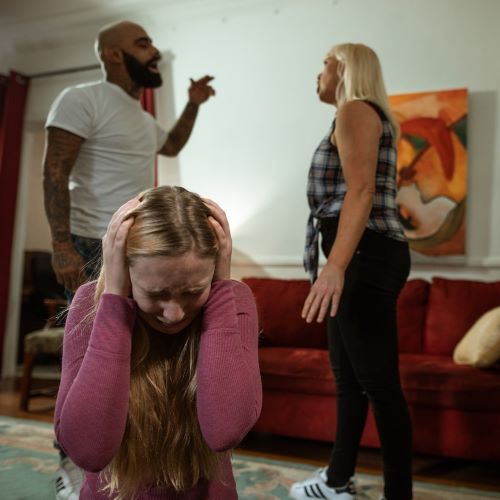 Regionaal Expertise Project complexe Scheidingen (REPS)